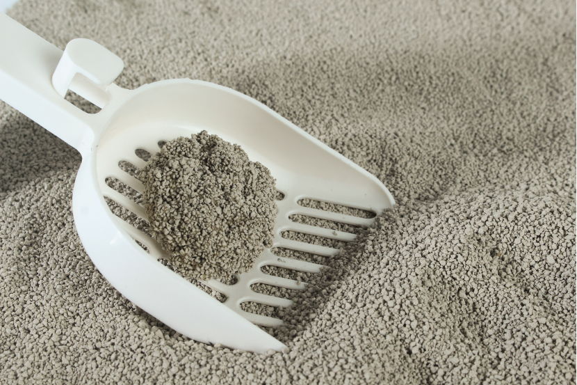 What Is Cat Litter Used For? Types, Benefits, and Wholesale Buying Guide